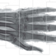 A phase-contrast scan of the mummy’s hand. Nine individual scans were stitched together to create this composite image.